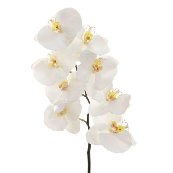 Orchid Phalaenopsis Spray-White Flower 1