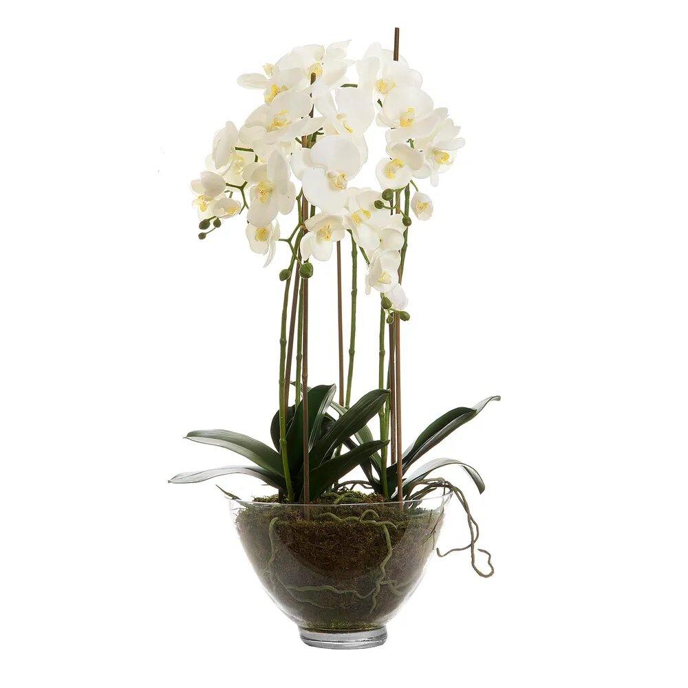 Scarlet Artificial White Orchid Flower Accessories Homeware Design 1
