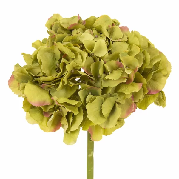 Green Floral Hydrangea