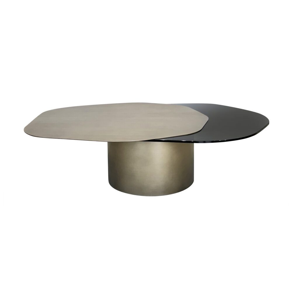 Carine Coffee Table 1